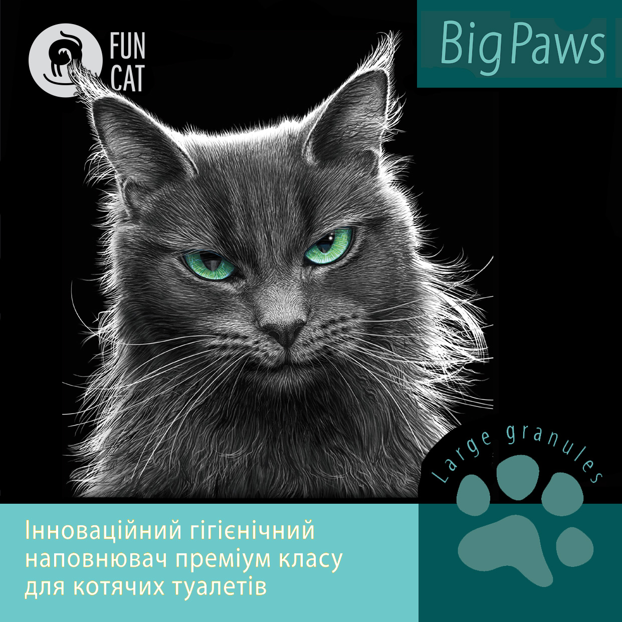 Big Paws